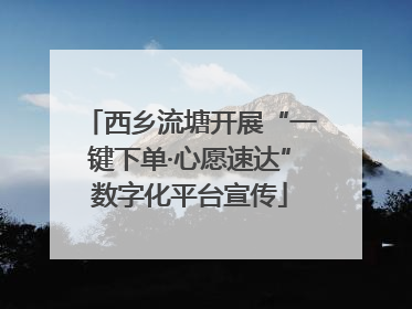 西乡流塘开展“一键下单·心愿速达”数字化平台宣传