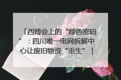 西博会上的“绿色密码”：四川唯一电网拆解中心让废旧物资“重生”｜西博寻“新”记