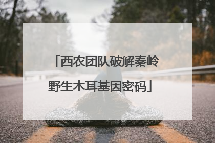 西农团队破解秦岭野生木耳基因密码