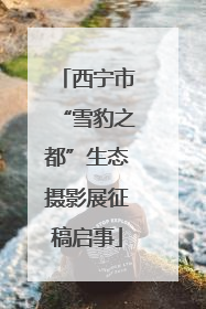 西宁市“雪豹之都”生态摄影展征稿启事