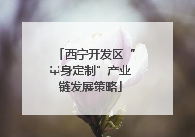 西宁开发区“量身定制”产业链发展策略