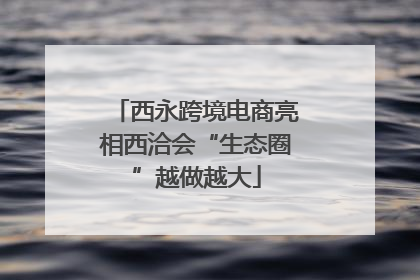 西永跨境电商亮相西洽会“生态圈”越做越大