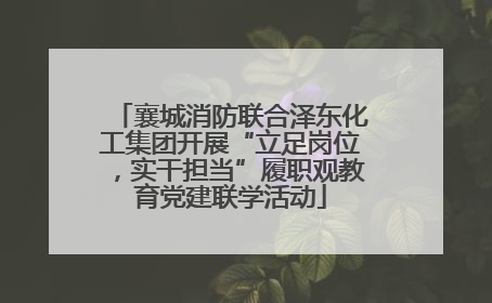 襄城消防联合泽东化工集团开展“立足岗位，实干担当”履职观教育党建联学活动