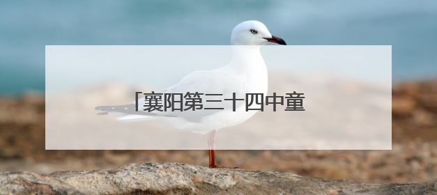 襄阳第三十四中童心向党 艺展未来