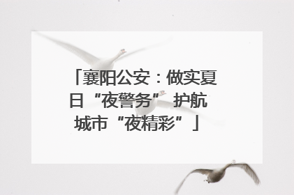 襄阳公安：做实夏日“夜警务” 护航城市“夜精彩”