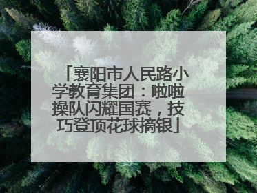 襄阳市人民路小学教育集团：啦啦操队闪耀国赛，技巧登顶花球摘银