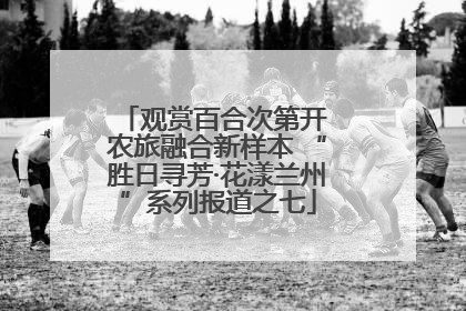 观赏百合次第开 农旅融合新样本 “胜日寻芳·花漾兰州”系列报道之七