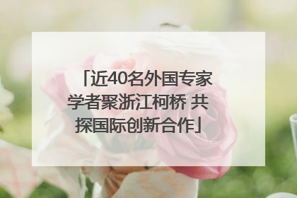 近40名外国专家学者聚浙江柯桥 共探国际创新合作