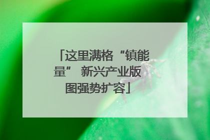 这里满格“镇能量” 新兴产业版图强势扩容