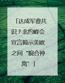 达成军费共识？北约峰会宣言揭示美欧之间“貌合神离”
