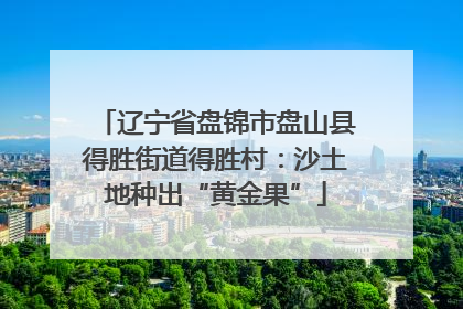 辽宁省盘锦市盘山县得胜街道得胜村：沙土地种出“黄金果”