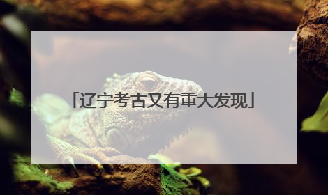 辽宁考古又有重大发现