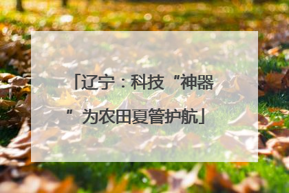 辽宁：科技“神器”为农田夏管护航