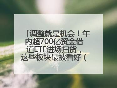 调整就是机会！年内超700亿资金借道ETF进场扫货，这些板块最被看好（附名单）