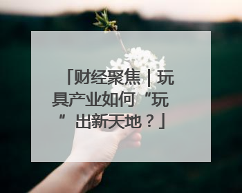 财经聚焦｜玩具产业如何“玩”出新天地？