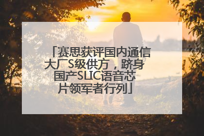 赛思获评国内通信大厂S级供方，跻身国产SLIC语音芯片领军者行列