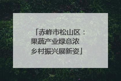 赤峰市松山区：果蔬产业绿意浓 乡村振兴展新姿