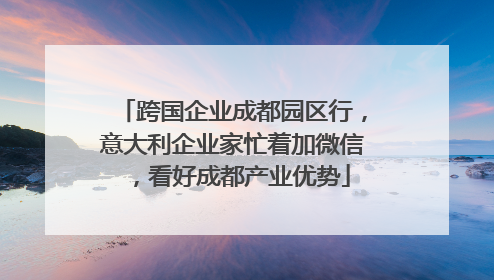 跨国企业成都园区行，意大利企业家忙着加微信，看好成都产业优势
