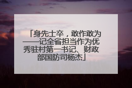 身先士卒，敢作敢为——记全省担当作为优秀驻村第一书记、财政部国防司杨杰