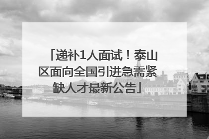递补1人面试！泰山区面向全国引进急需紧缺人才最新公告