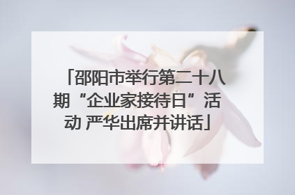 邵阳市举行第二十八期“企业家接待日”活动 严华出席并讲话