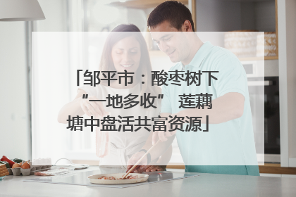 邹平市：酸枣树下“一地多收” 莲藕塘中盘活共富资源