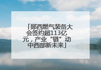 郧西燃气装备大会签约超113亿元，产业“链”动中西部新未来