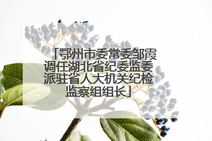 鄂州市委常委邹霞调任湖北省纪委监委派驻省人大机关纪检监察组组长