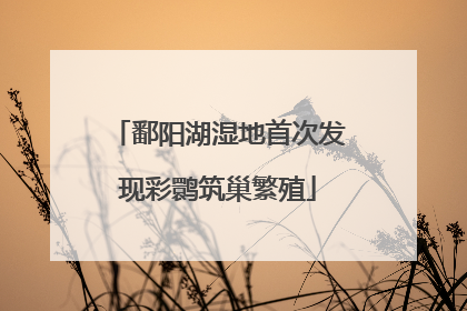 鄱阳湖湿地首次发现彩鹮筑巢繁殖