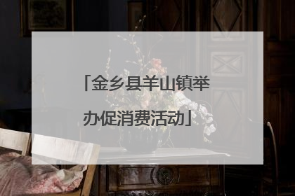 金乡县羊山镇举办促消费活动