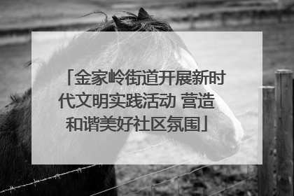 金家岭街道开展新时代文明实践活动 营造和谐美好社区氛围