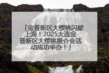 金普新区大樱桃闪耀上海！2025大连金普新区大樱桃推介会活动成功举办！