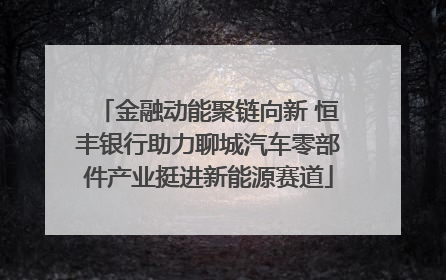 金融动能聚链向新 恒丰银行助力聊城汽车零部件产业挺进新能源赛道