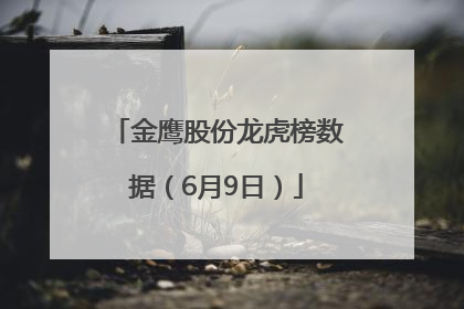 金鹰股份龙虎榜数据（6月9日）