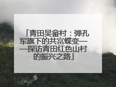青田吴畲村：弹孔军旗下的共富蝶变——探访青田红色山村的振兴之路