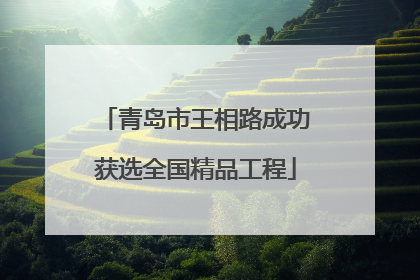 青岛市王相路成功获选全国精品工程