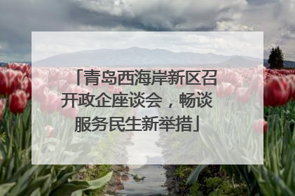 青岛西海岸新区召开政企座谈会，畅谈服务民生新举措