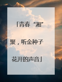 青春“湘”聚，听金种子花开的声音