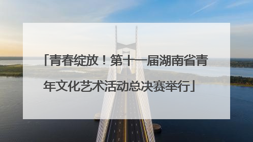 青春绽放！第十一届湖南省青年文化艺术活动总决赛举行