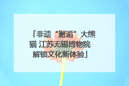 非遗“邂逅”大熊猫 江苏无锡博物院解锁文化新体验