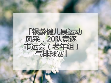 银龄健儿展运动风采，20队竞逐市运会（老年组）气排球赛