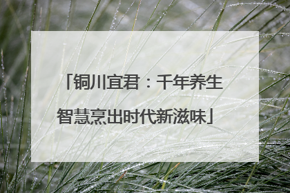 铜川宜君：千年养生智慧烹出时代新滋味