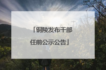 铜陵发布干部任前公示公告