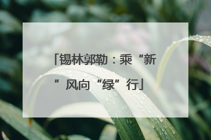 锡林郭勒：乘“新”风向“绿”行