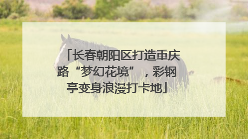长春朝阳区打造重庆路“梦幻花境”，彩钢亭变身浪漫打卡地