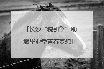 长沙“税引擎”助燃毕业季青春梦想