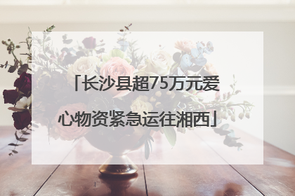 长沙县超75万元爱心物资紧急运往湘西