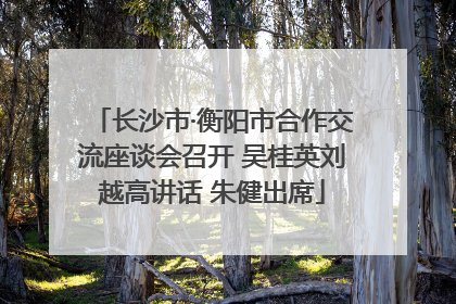 长沙市·衡阳市合作交流座谈会召开 吴桂英刘越高讲话 朱健出席