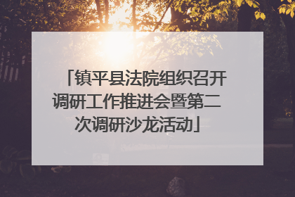 镇平县法院组织召开调研工作推进会暨第二次调研沙龙活动