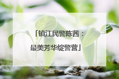 镇江民警陈茜：最美芳华绽警营